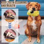 Squeaky Plush Dog Toy for Fun Playtime