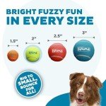 Outward Hound Small Squeaker Balls Dog Toy Set
