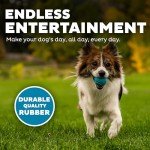 Outward Hound Small Squeaker Balls Dog Toy Set