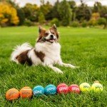 Outward Hound Small Squeaker Balls Dog Toy Set