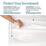 Orthopedic Memory Foam Dog Bed – Multiple Sizes