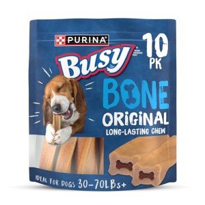 Purina Busy Bone Dog Chew Treats - 10 Count