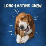 Purina Busy Bone Dog Chew Treats - 10 Count