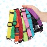 Adjustable Soft Nylon Dog Collars - 9 Pack
