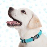 Adjustable Soft Nylon Dog Collars - 9 Pack