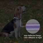 Purple Reflective Neoprene Dog Collar for Large Dogs