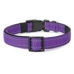 Purple Reflective Neoprene Dog Collar for Large Dogs