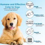 Adjustable Prong Training Collar for Dogs
