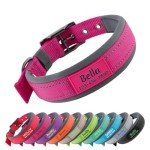 Custom Reflective Dog Collar with Name & Number