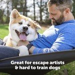 PetSafe Waterproof Dog Fence Collar for Stubborn Dogs