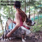 Custom Reflective Dog Collar with Name & Number