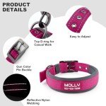 Custom Reflective Dog Collar with Name & Number