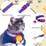 48-Piece Adjustable Dog Collar and Leash Set