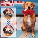 Squeaky Plush Dog Toy for Fun Playtime