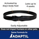ThunderEase Calming Collar for Small Dogs