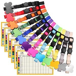 Soft Nylon Puppy Collars with ID Tags and Charts