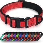 Adjustable Red Reflective Dog Collar with Safety Buckle