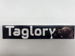 Adjustable Red Reflective Dog Collar with Safety Buckle