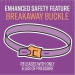 Sentry Calming Collar for Cats - 3 Pack