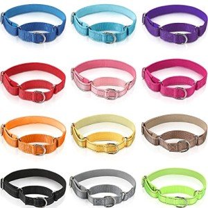 12-Pack Adjustable Martingale Collars for Medium Dogs