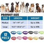 12-Pack Adjustable Martingale Collars for Medium Dogs