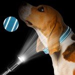 12-Pack Adjustable Martingale Collars for Medium Dogs