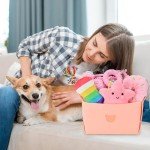 12-Pack Puppy Teething Toys Set with Storage Box