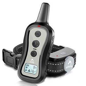 PATPET Remote Dog Training Collar with 3 Modes