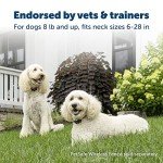 PetSafe Wireless Waterproof Dog Collar Receiver
