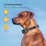 Patpet Remote Dog Training Collars for Large Dogs