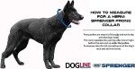 Herm Sprenger Chrome Steel Prong Training Collar 13in