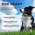 Reflective Adjustable Nylon Dog Collar - Size M