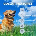 Reflective Adjustable Nylon Dog Collar - Size M