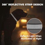 Reflective Adjustable Nylon Dog Collar - Size M