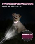 Joytale Reflective Adjustable Collar for Small Dogs