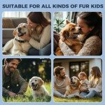 Reflective Adjustable Nylon Dog Collar - Size M