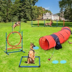 YITAHOME Dog Agility Training Equipment Set