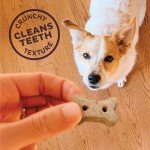 Old Mother Hubbard Classic Mini Dog Treats 3.8lbs