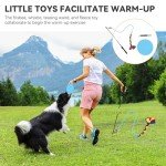 YITAHOME Dog Agility Training Equipment Set