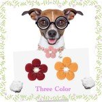 Cute Pink Flower Dog Collar with Bell