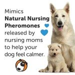 ThunderEase Calming Pheromone Collar for Dogs