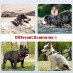 Taglory Reflective AirTag Dog Collar for Medium Dogs