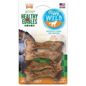 Nylabone Turkey Flavor Long-Lasting Chew Treats