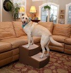 Extra Wide Pet Stairs for Dogs and Cats