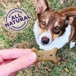 Old Mother Hubbard Wellness Dog Treats, 20oz