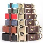 Didog Soft Adjustable Dog Collar for Small Dogs