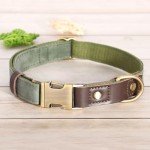 Didog Soft Adjustable Dog Collar for Small Dogs