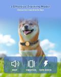 PATPET Rechargeable Dog Training Collar with Remote