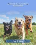 PATPET Rechargeable Dog Training Collar with Remote