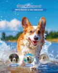 PATPET Rechargeable Dog Training Collar with Remote